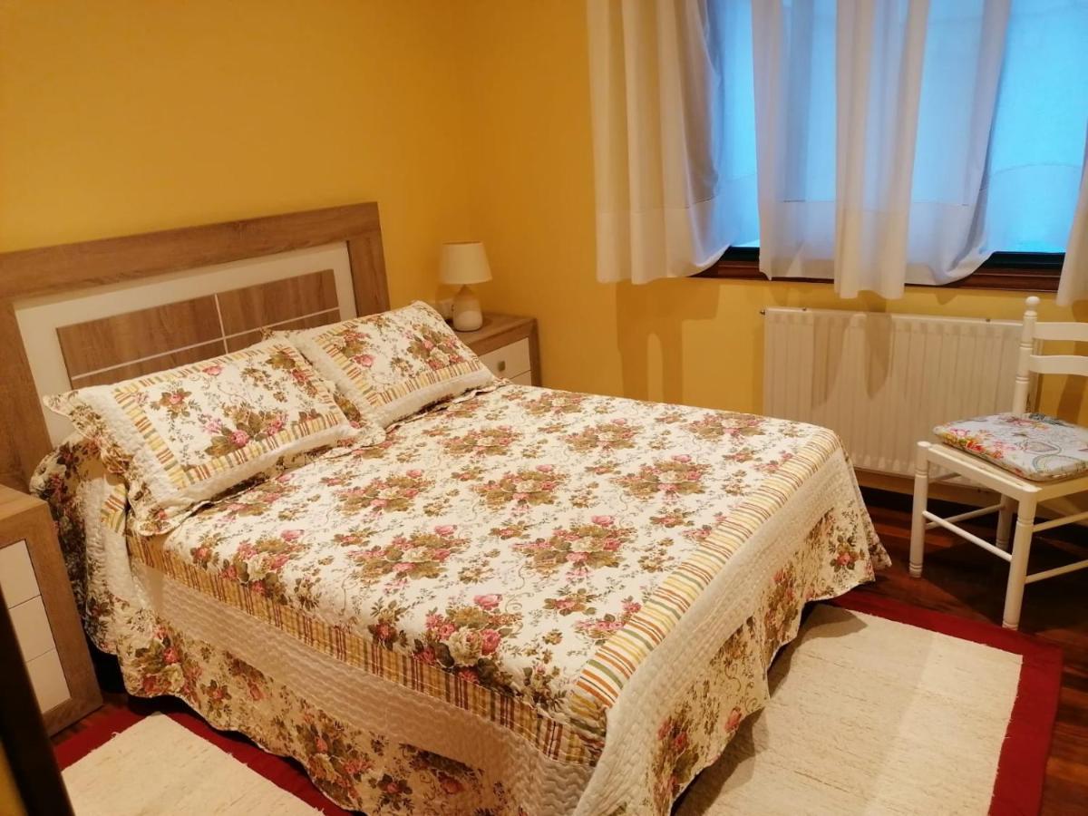 Apartamento Piso As Camelias Pontevedra Exterior foto